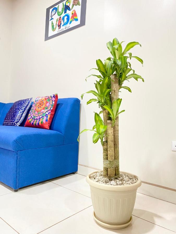 Pura Vida Apartment. 5 Min From Airport アラフエラ エクステリア 写真